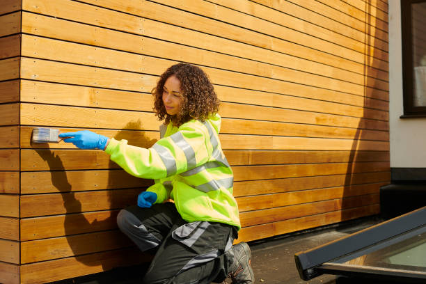 Best Fascia and Soffit Installation  in Fort Dodge, IA